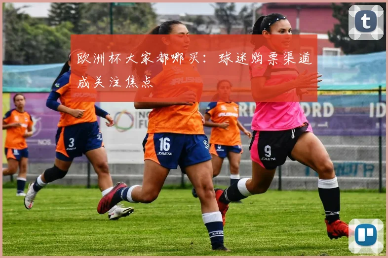 欧洲杯大家都哪买:球迷购票渠道成关注焦点
