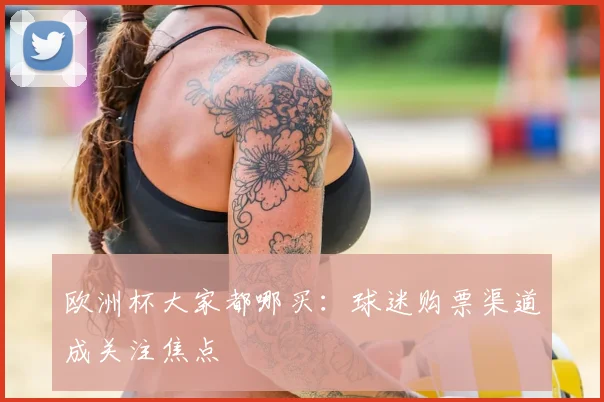欧洲杯大家都哪买:球迷购票渠道成关注焦点