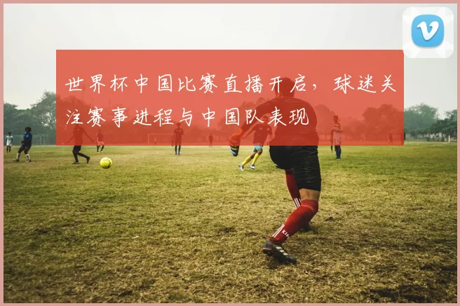 世界杯中国比赛直播开启，球迷关注赛事进程与中国队表现